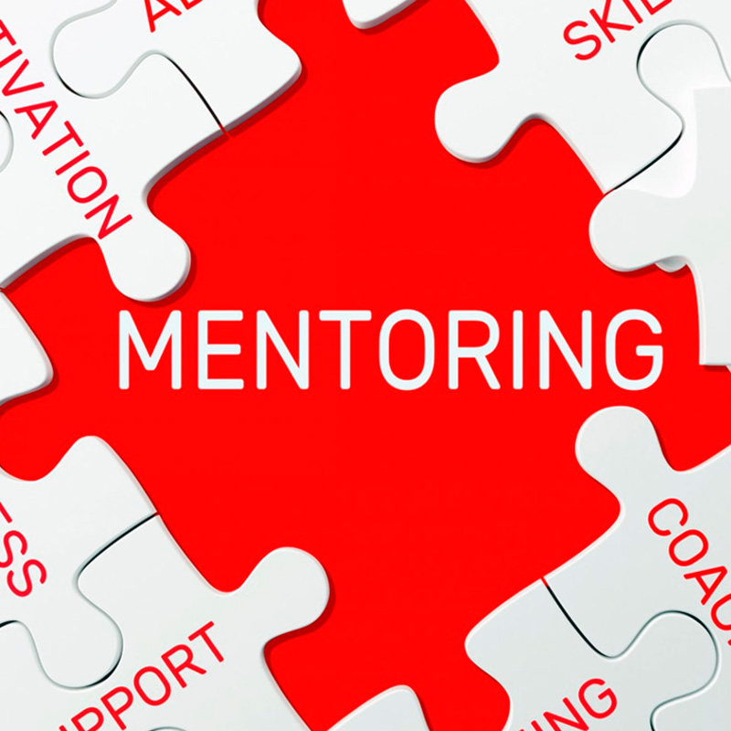 Mentoring Growth Partner 5 mentoring